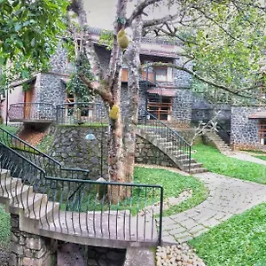 bnb-wildernest.kerala-hotels.net/
